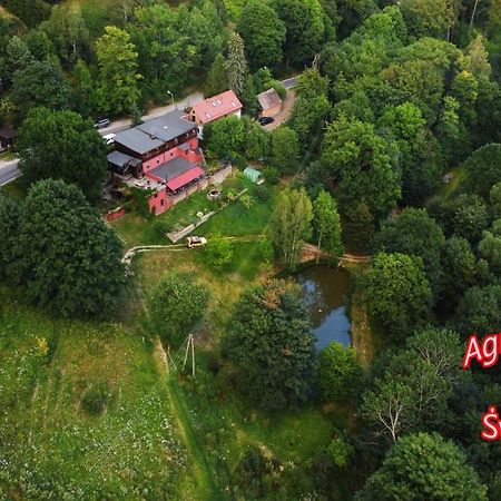 Agroturystyka Pod Swierkiem Srebrna Góra Exterior foto